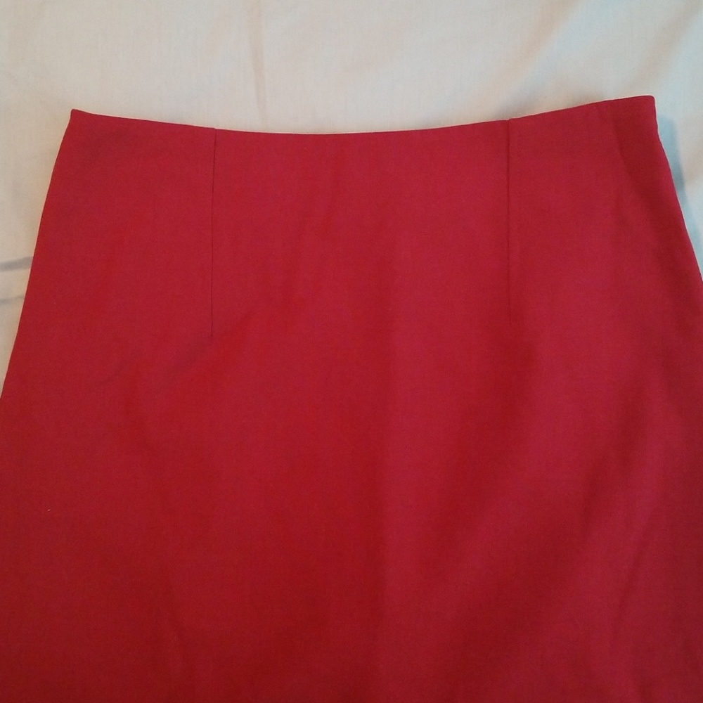 Ann Taylor Skirt